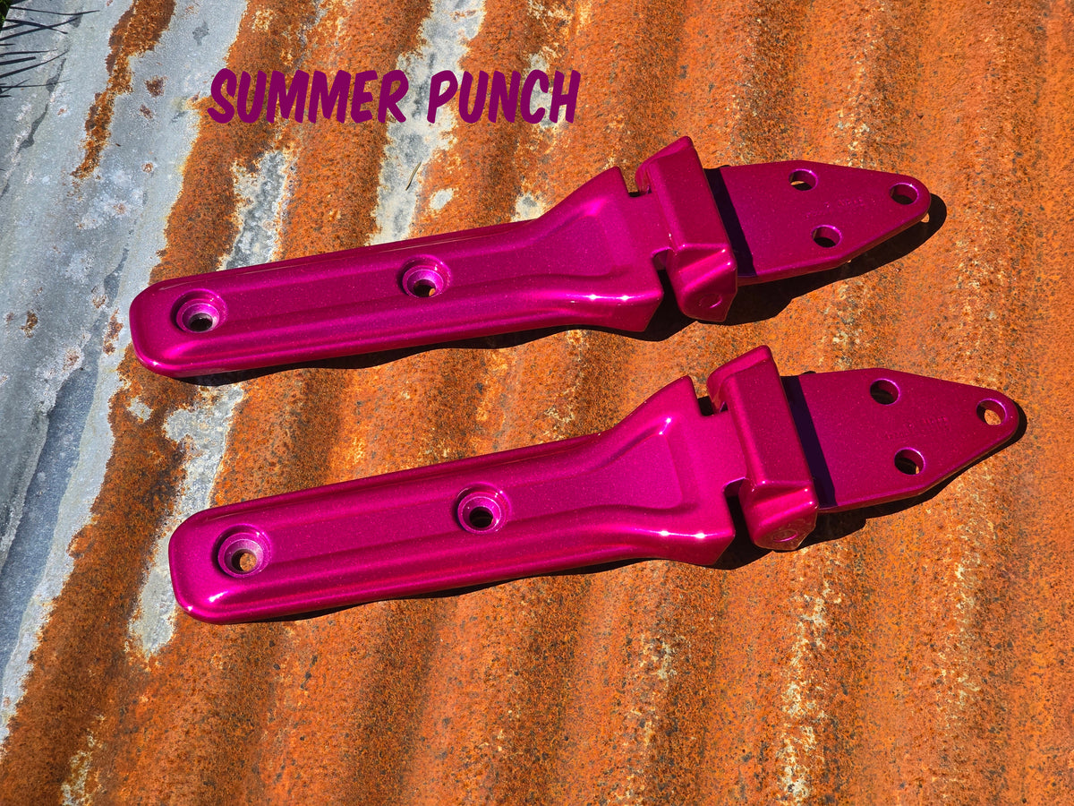 Jeep Wrangler JL Powder Coated Tailgate Hinges